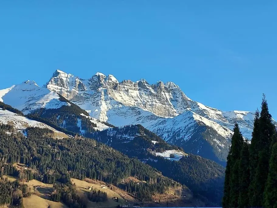 Les Vues De Lily - Chatel Apartment